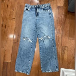 Pacsun Baggy Jeans